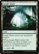 Jungle Basin #484