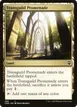 Transguild Promenade #499