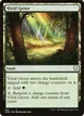 Vivid Grove #501