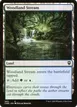 Woodland Stream #503