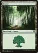 Forest #510