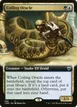 Coiling Oracle #688