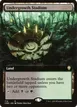 Undergrowth Stadium #714
