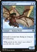 Kitesail Corsair #76