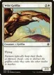 Wild Griffin #99