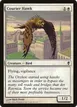 Courier Hawk #68