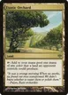 Exotic Orchard #142