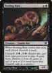 Rotting Rats #51