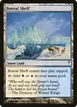Boreal Shelf #144