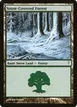 Snow-Covered Forest #155