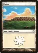Plains #371