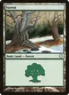 Forest #381