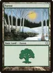 Forest #382
