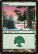 Forest #383