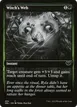 Witch's Web #494