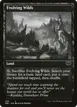 Evolving Wilds #530