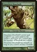 Dauntless Dourbark #12