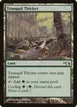 Tranquil Thicket #27