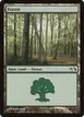 Forest #29