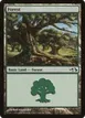Forest #31