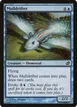 Mulldrifter #12