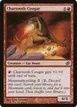 Chartooth Cougar #47