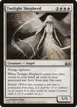 Twilight Shepherd #11