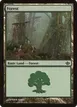 Forest #29