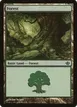 Forest #31