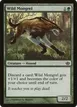 Wild Mongrel #5