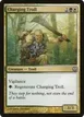 Charging Troll #45