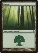 Forest #70