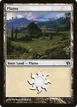 Plains #37