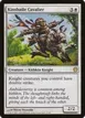 Kinsbaile Cavalier #17