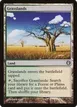 Grasslands #35