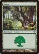 Forest #46