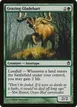 Grazing Gladehart #11