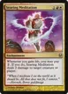 Searing Meditation #27