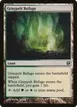 Graypelt Refuge #33