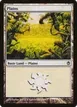 Plains #40