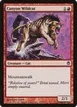 Canyon Wildcat #6