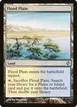 Flood Plain #34