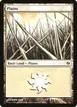 Plains #38