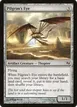 Pilgrim's Eye #47