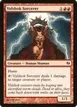 Vulshok Sorcerer #50
