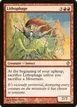 Lithophage #57