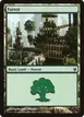 Forest #88