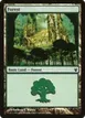 Forest #89