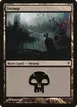 Swamp #37