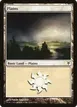 Plains #38